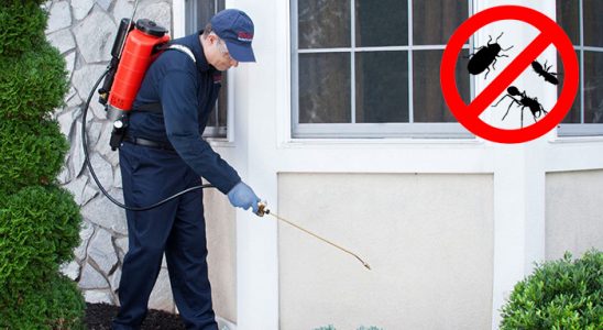 Bünyan Karınca İlaçlama böcek ilaçlama ve haşere kontrolü — ilaclama-tr.com